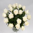 White Avalanche rozen
