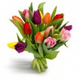 Lenteboeket Tulpen